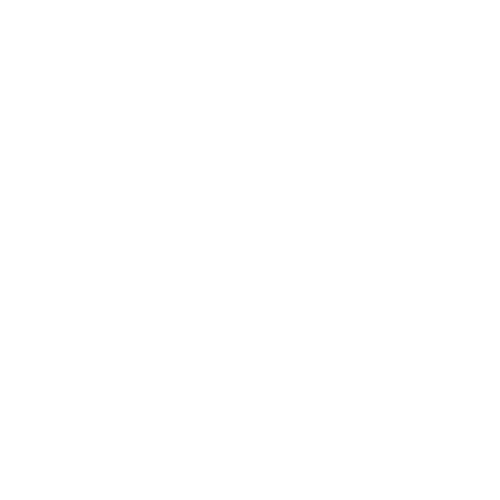Mr Visa - white